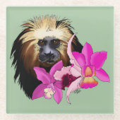 Dessous-de-verre En Verre Singe tamarin, Lion à tête dorée (Devant)