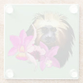 Dessous-de-verre En Verre Singe tamarin, Lion à tête dorée (Dos)