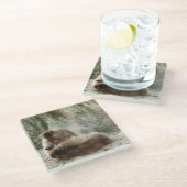 Dessous-de-verre En Verre Singes (Incliné)