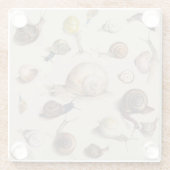 Dessous-de-verre En Verre Snail Slug Garden Pet Gastropod (Dos)