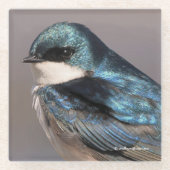 Dessous-de-verre En Verre Songbird on the Wire (Devant)