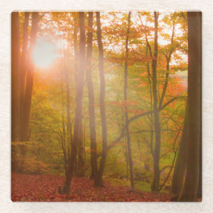 Dessous-de-verre En Verre Splendeur d'automne