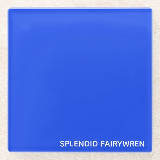 Dessous-de-verre En Verre Splendid Fairywren Blue Colour (Devant)