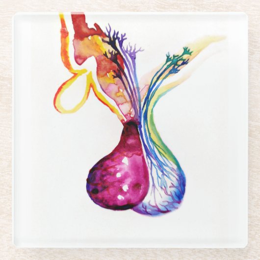 Dessous-de-verre En Verre Structure hypophysaire (Devant)