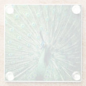 Dessous-de-verre En Verre Strut Peacock (Dos)