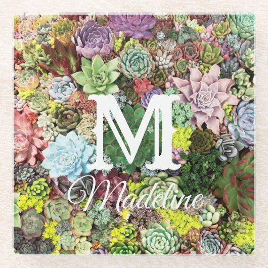 Dessous-de-verre En Verre Succulents colorés (Devant)