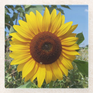 Dessous-de-verre En Verre Sunny Sunflower