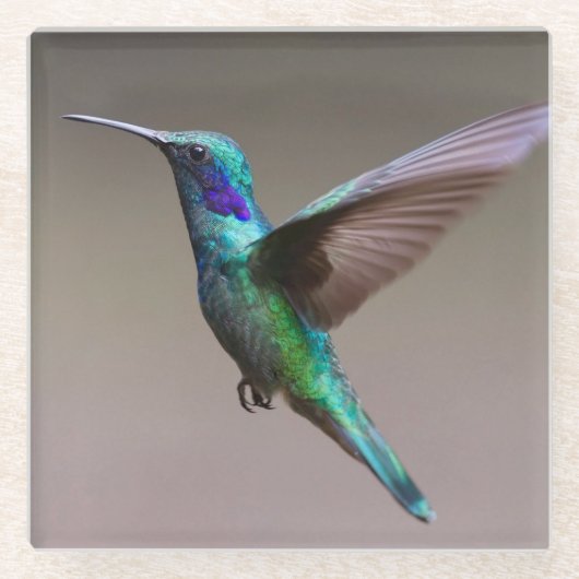 Dessous-de-verre En Verre Superbe colibri en vol (Devant)