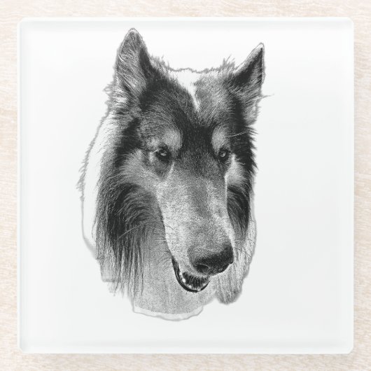 Dessous-de-verre En Verre Surface Stable – Collie (Devant)