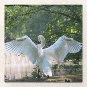 Dessous-de-verre En Verre Swan avec ailes étalées