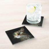 Dessous-de-verre En Verre Tabby Chat Aux Yeux Verts Isolé Sur Noir (Incliné)