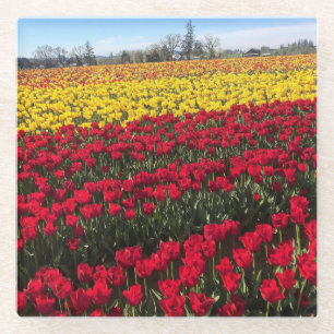 Dessous-de-verre En Verre Terrain de Red & Yellow