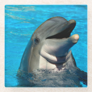 Dessous-de-verre En Verre Tête de dauphin à bec