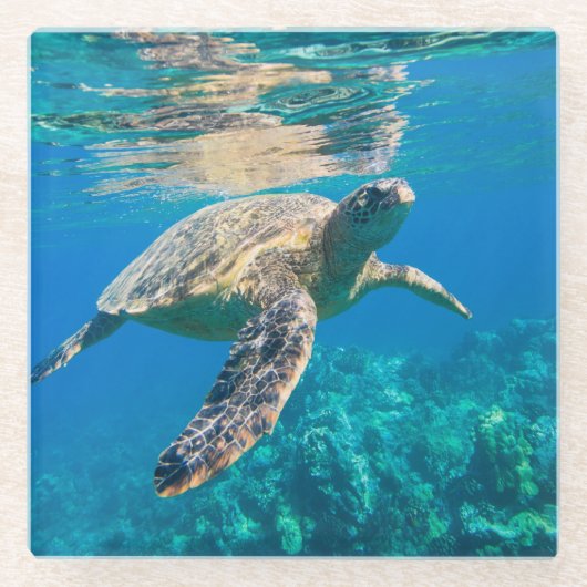 Dessous-de-verre En Verre Tortue de mer (Devant)