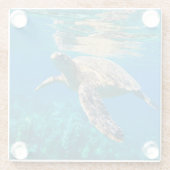 Dessous-de-verre En Verre Tortue de mer (Dos)