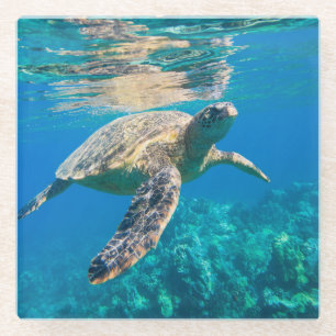 Dessous-de-verre En Verre Tortue de mer de natation