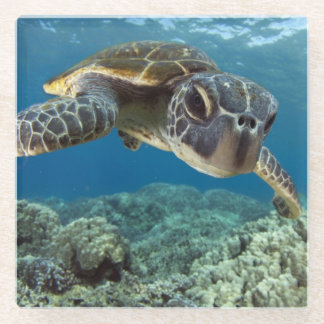 Dessous-de-verre En Verre Tortue de mer verte hawaïenne