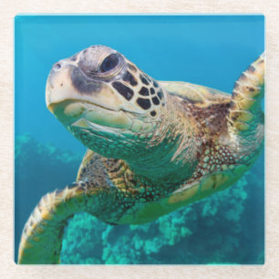 Dessous-de-verre En Verre Tortue de mer verte nageant au-dessus du récif
