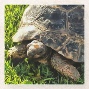 Dessous-de-verre En Verre Tortue Sauvage Dans L'Herbe Pré Art De La Faune