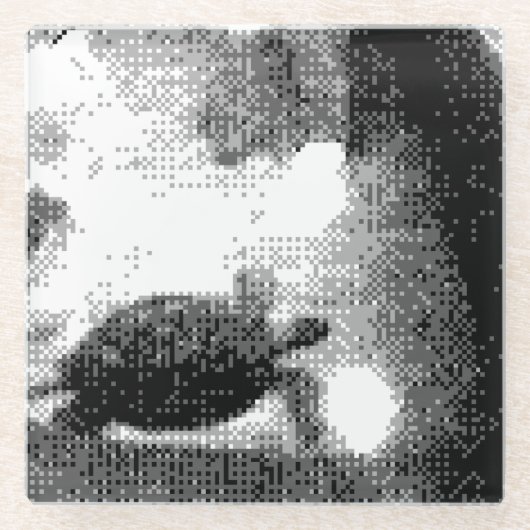 Dessous-de-verre En Verre tortues pixélisées (Devant)