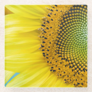 Dessous-de-verre En Verre Tournesol lumineux