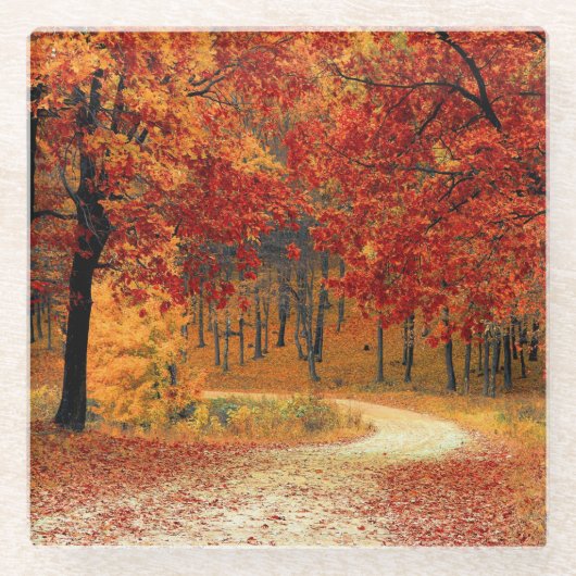 Dessous-de-verre En Verre Traverser les arbres en automne (Devant)