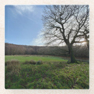 Dessous-de-verre En Verre Tree view..