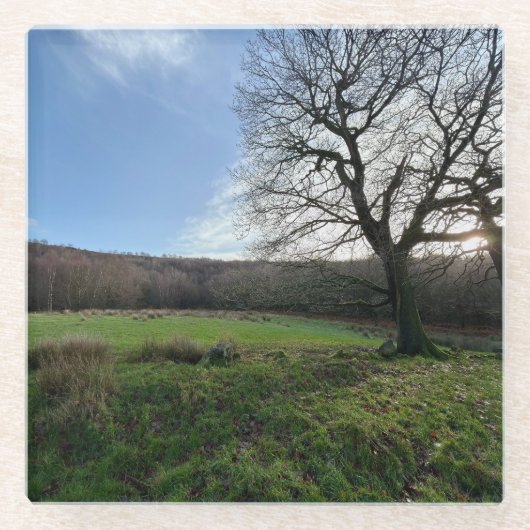 Dessous-de-verre En Verre Tree view.. (Devant)