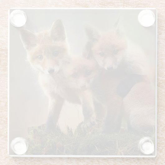 Dessous-de-verre En Verre Triplets Foxy (Dos)