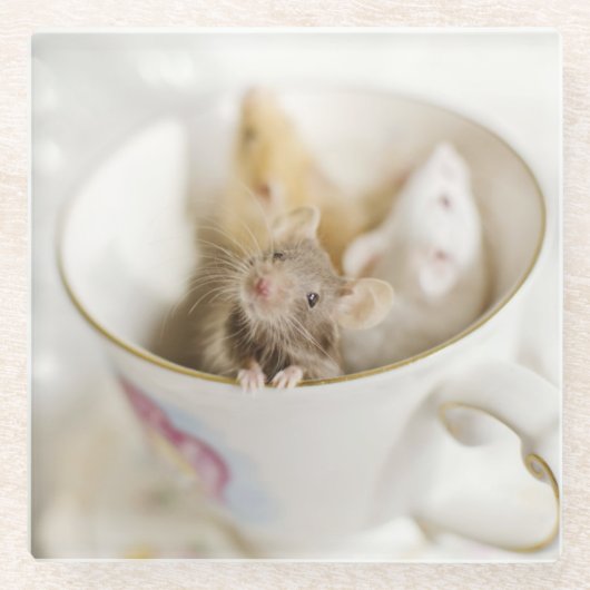 Dessous-de-verre En Verre Trois petites souris (Devant)
