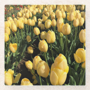 Dessous-de-verre En Verre Tulipes jaunes dans un champ, Oregon