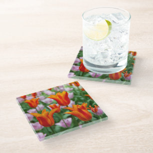 Dessous-de-verre En Verre Tulipes orange vif dans le parc