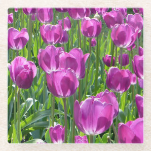 Dessous-de-verre En Verre Tulipes pourpres
