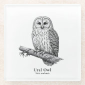 Dessous-de-verre En Verre Ural Owl (Devant)