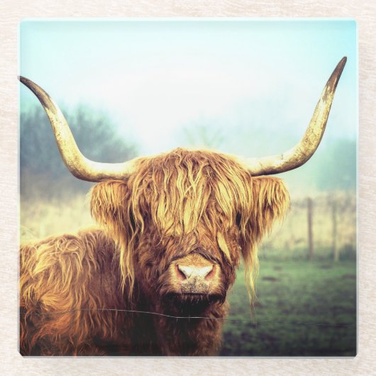 Dessous-de-verre En Verre Vache de Highland (Devant)