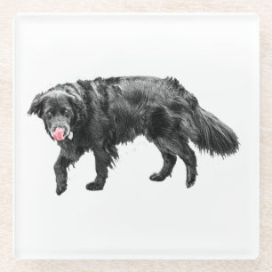 Dessous-de-verre En Verre Vapeur de cannelle, Lick d'araignée