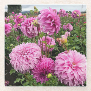 Dessous-de-verre En Verre Vassio Meggos Dahlia