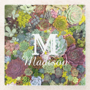 Dessous-de-verre En Verre Verdure colorée Succulents