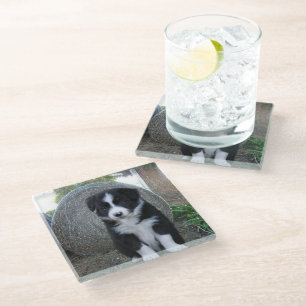 Dessous-de-verre En Verre Vie de ferme de chiot Border Collie,