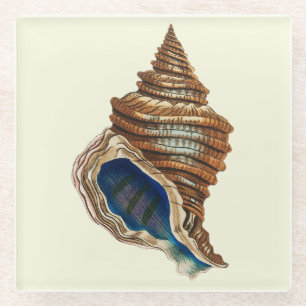 Dessous-de-verre En Verre Vintage nautique Art coquillage conch bleu de Geor
