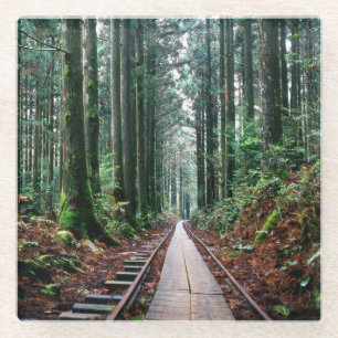 Dessous-de-verre En Verre Voies de train dans la forêt