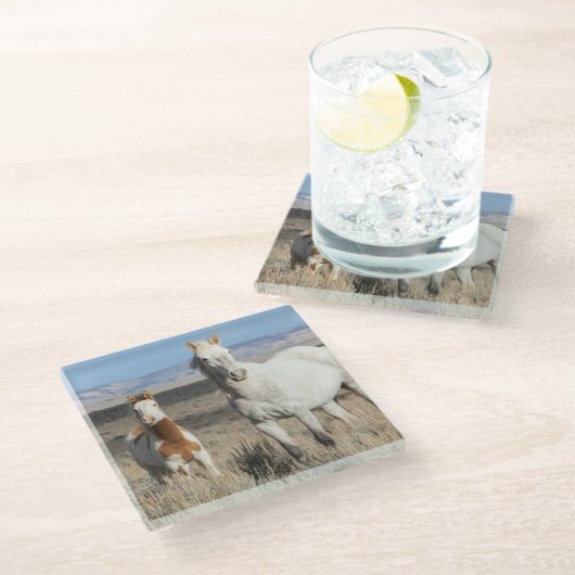 Dessous-de-verre En Verre Wild Horses at Home in the Sandwash Basin (Incliné)