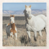 Dessous-de-verre En Verre Wild Horses at Home in the Sandwash Basin (Devant)