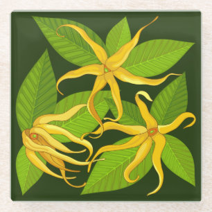Dessous-de-verre En Verre Ylang Ylang Fleurs Parfumées Exotiques
