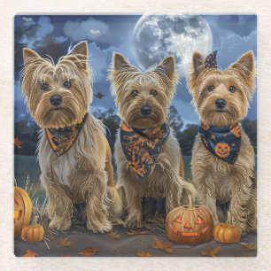 Dessous-de-verre En Verre Yorkipoo Halloween Éffrayant