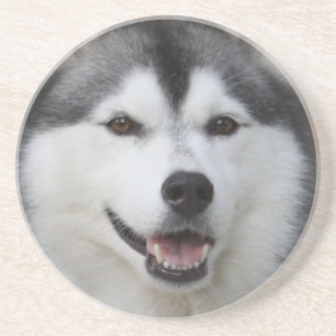 Dessous de verre enroués de chien