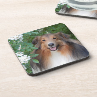 Dessous de verre - ensemble de 6 - avec Sheltie