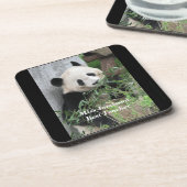 Dessous-de-verre Ensemble de 6, Panda géant mignon, meilleur enseig (Côté gauche)