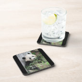 Dessous-de-verre Ensemble de 6, Panda géant mignon, meilleur enseig (Côté Droit)