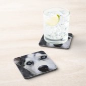 Dessous-de-verre Ensemble observé par bleu de chien de traîneau de (Côté Droit)